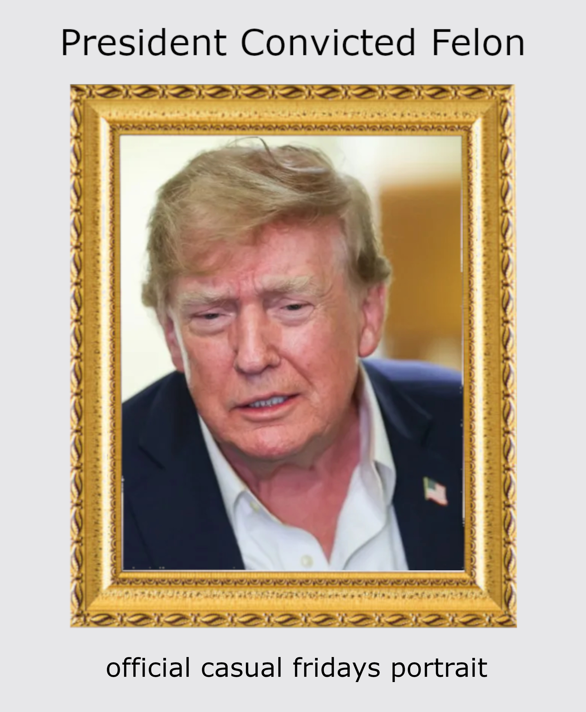 Donald John Trump, 47th President of the United States. Convicted felon. Fair use.