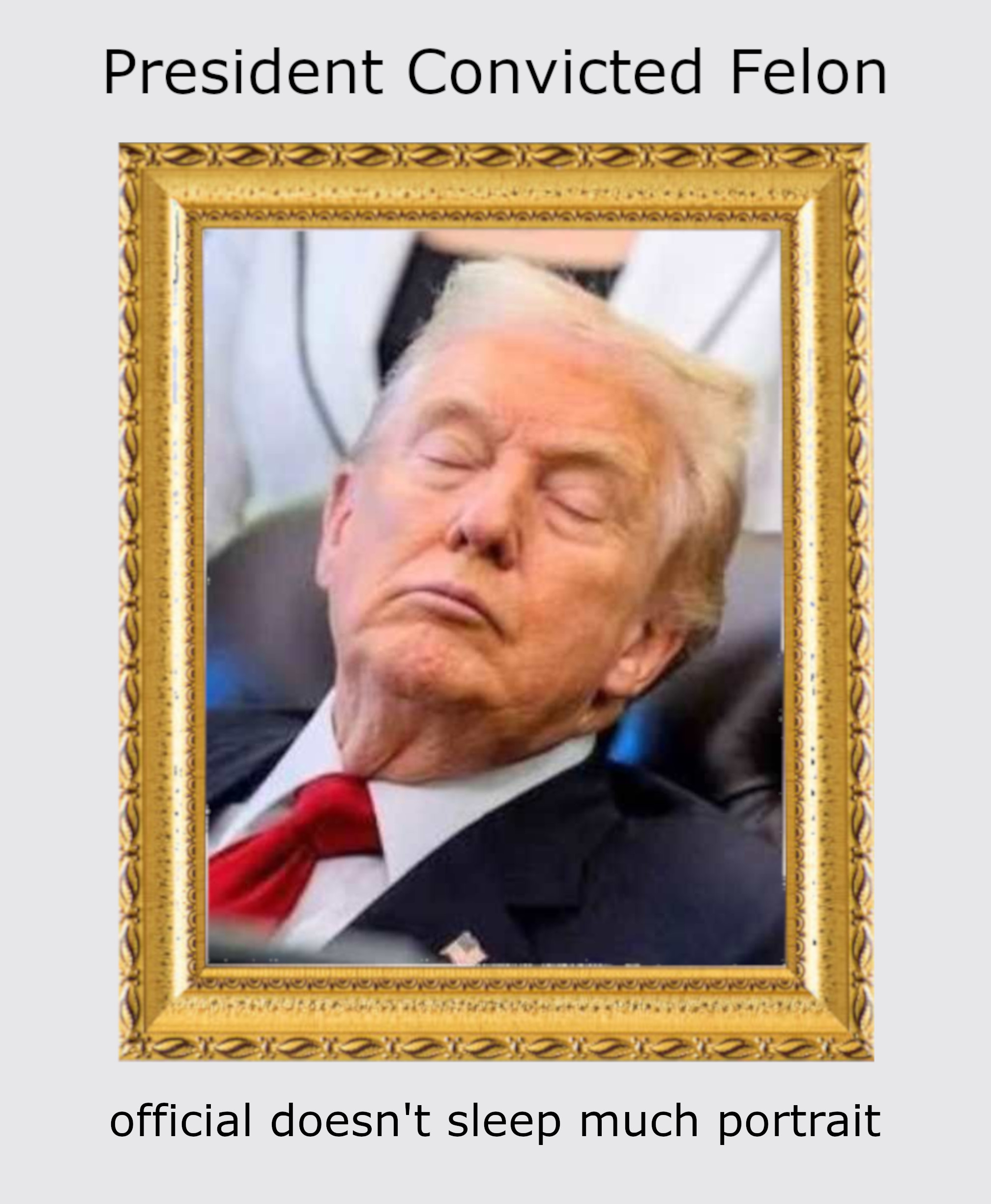 Donald John Trump, 47th President of the United States. Convicted felon. Fair use.