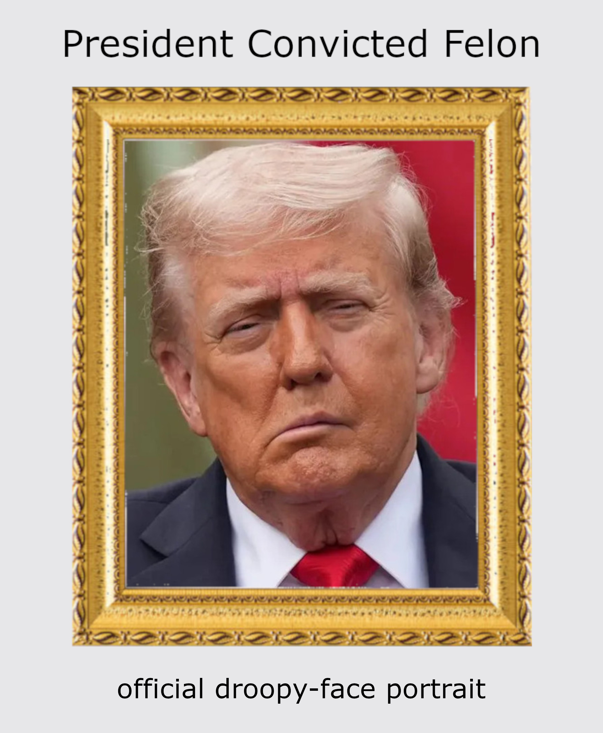 Donald John Trump, 47th President of the United States. Convicted felon. Fair use.