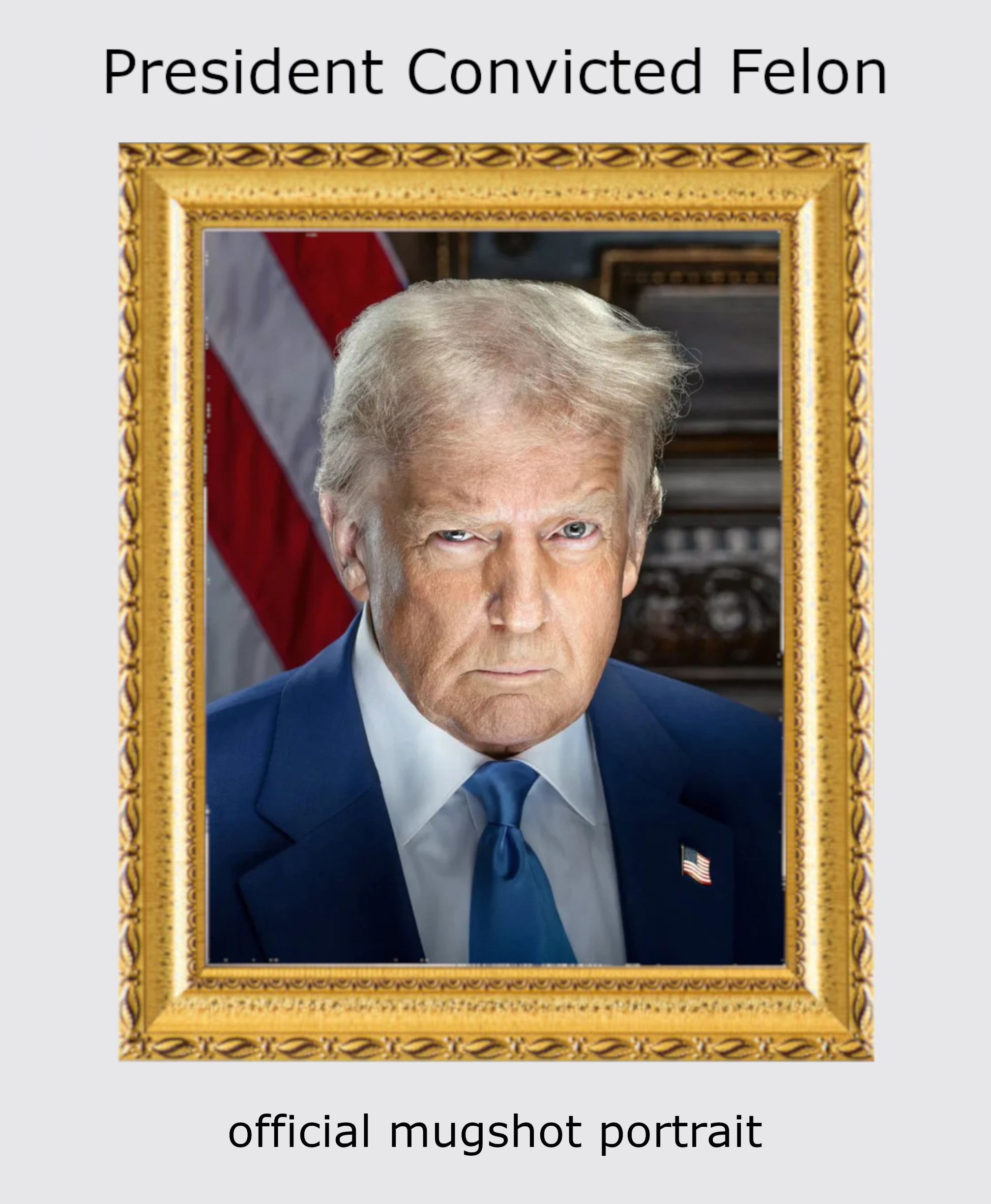 Donald John Trump, 47th President of the United States. Convicted felon. Fair use.