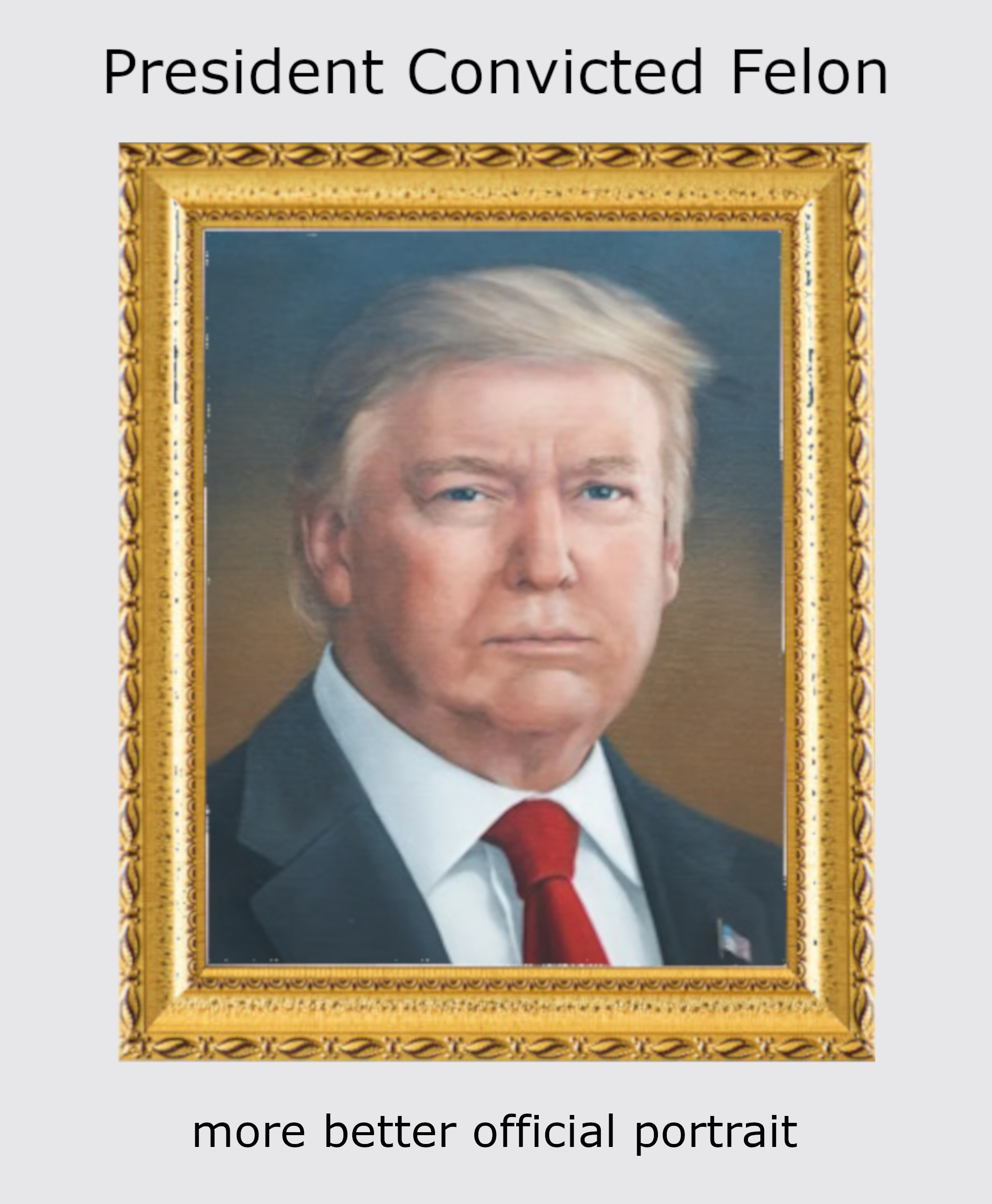 Donald John Trump, 47th President of the United States. Convicted felon. Credit: Sarah H. Boardman. Fair use.