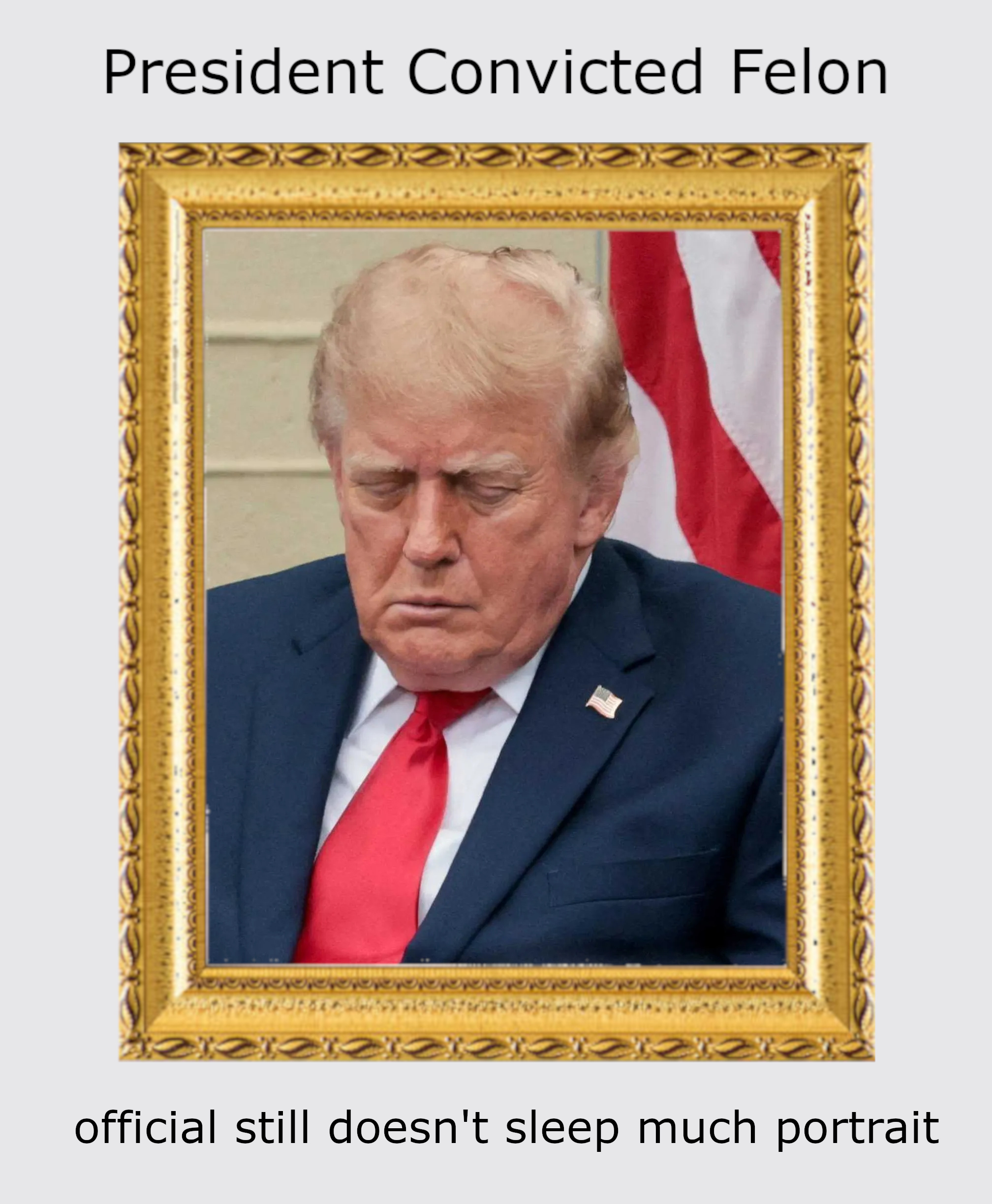 Donald John Trump, 47th President of the United States. Convicted felon. Fair use.