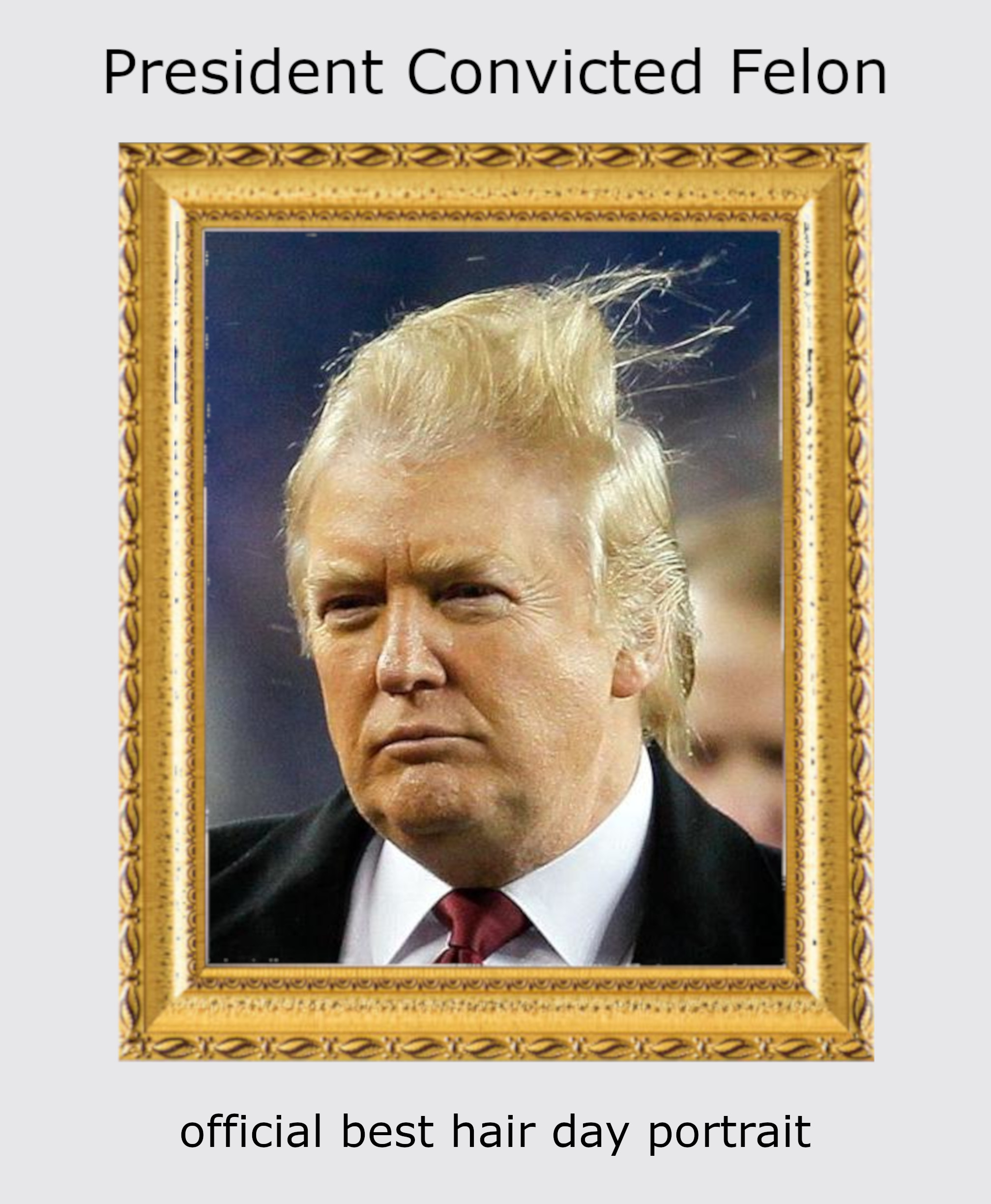 Donald John Trump, 47th President of the United States. Convicted felon. Fair use.